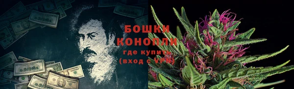 PSILOCYBIN Каменск-Шахтинский