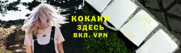 PSILOCYBIN Каменск-Шахтинский