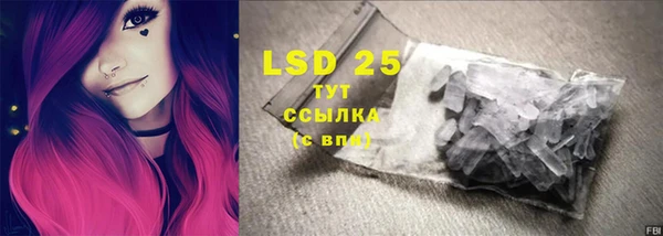 PSILOCYBIN Каменск-Шахтинский