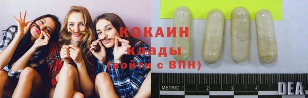 молекула духа Каменка