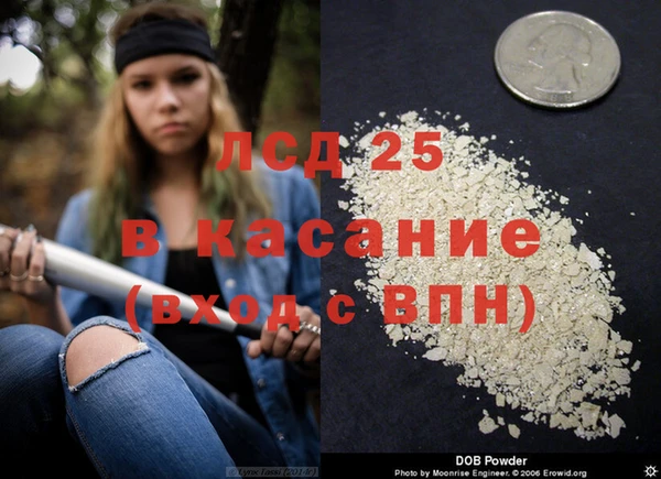 молекула духа Каменка