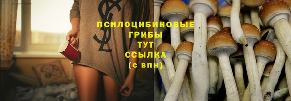 PSILOCYBIN Каменск-Шахтинский