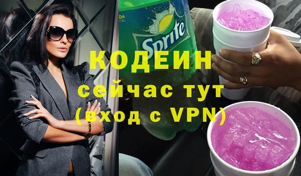 молекула духа Каменка