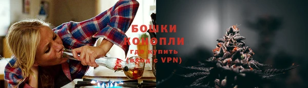 молекула духа Каменка