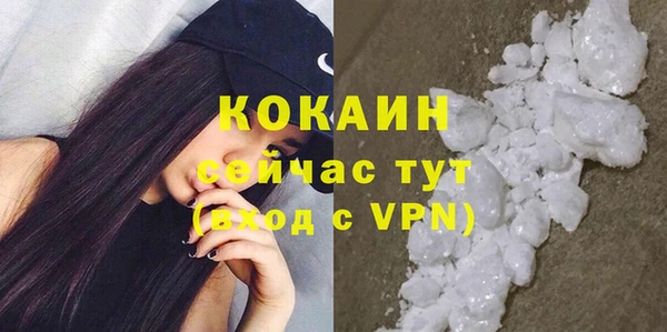 молекула духа Каменка
