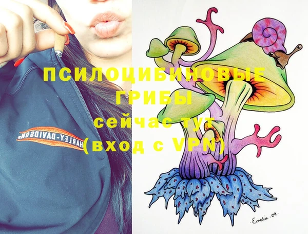 МДМА Каменногорск