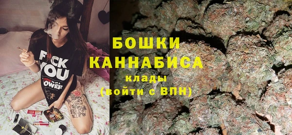 молекула духа Каменка