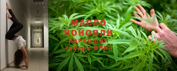 молекула духа Каменка