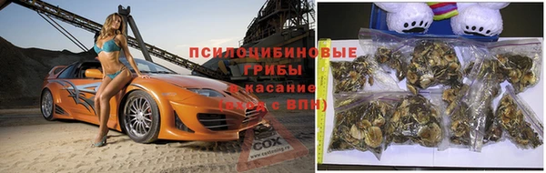 молекула духа Каменка