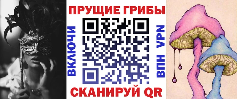 Купить где  Каргат  Галлюциногенные грибы Magic Shrooms 